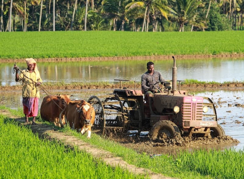 Crop Monitoring